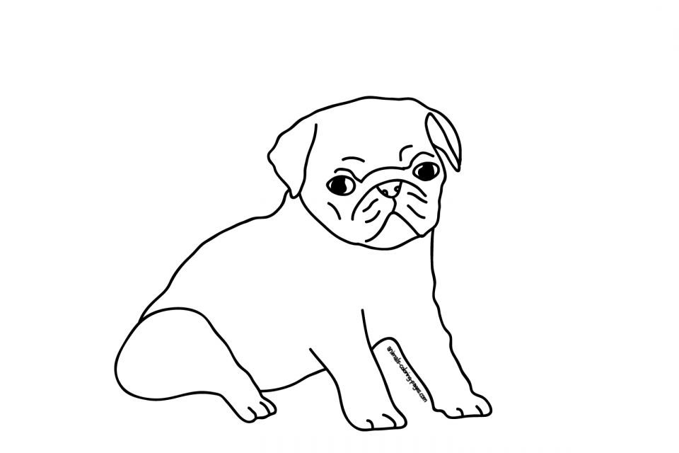pug dog coloring pages | Printable Coloring Pages For Kids 