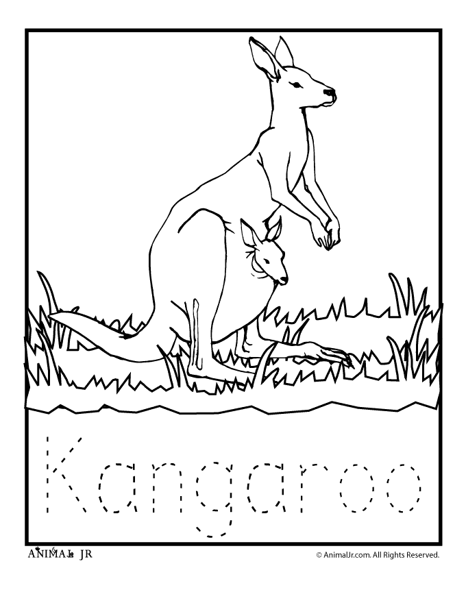 kangaroo coloring page | Australie•§•Australia