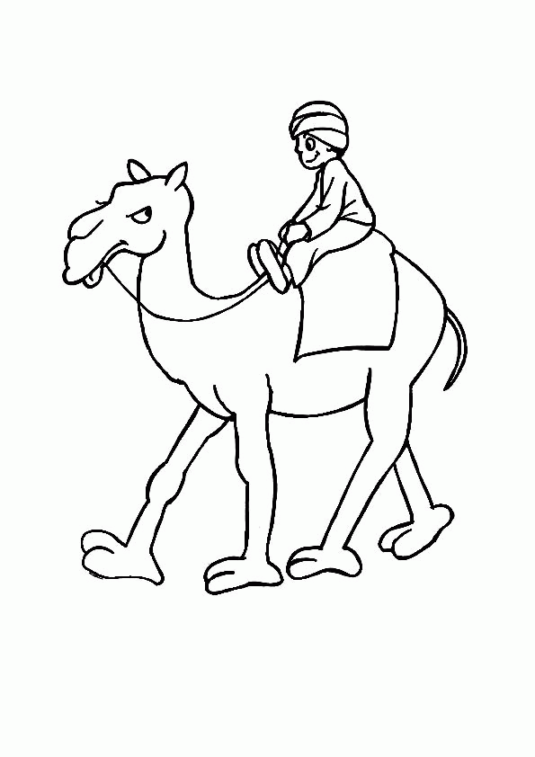Coloring Page of a Cranky Camel | www.FreeColoringPagesFun.com