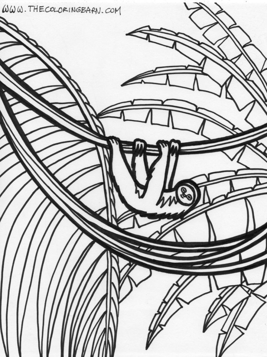 Free Jungle Scene Coloring Pages Rainforest Scene Coloring Pages ...