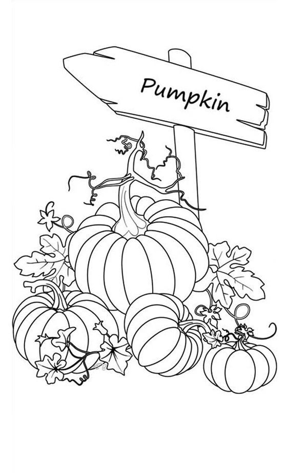 Pumpkins, : Sign of Pumpkins Garden Coloring Page | Patterns for ...