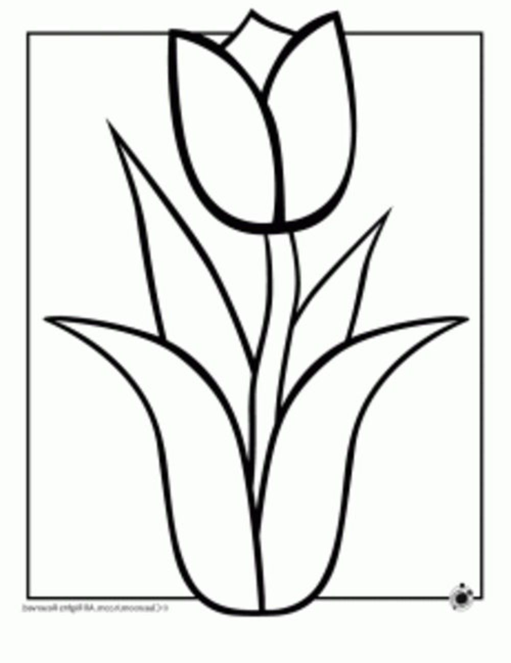 Printable Coloring Pages Of Hawaiian Flowers Coloring Home