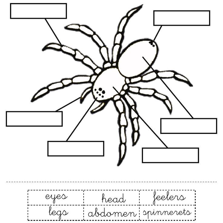 Anansi The Spider Coloring Page - Coloring Home