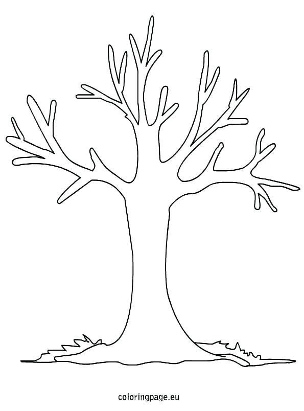 Tree Pictures To Color Family Tree Coloring Pages Family Tree ...