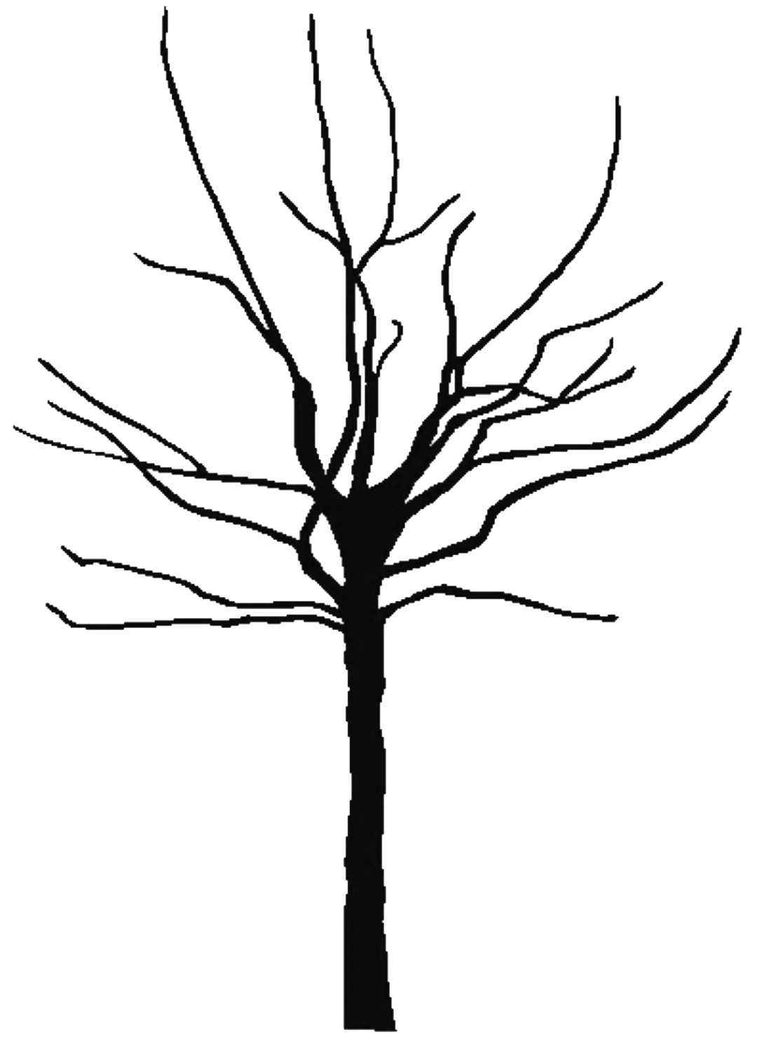 Fall tree coloring page - Coloring Pages Pictures - IMAGIXS - Clip ...