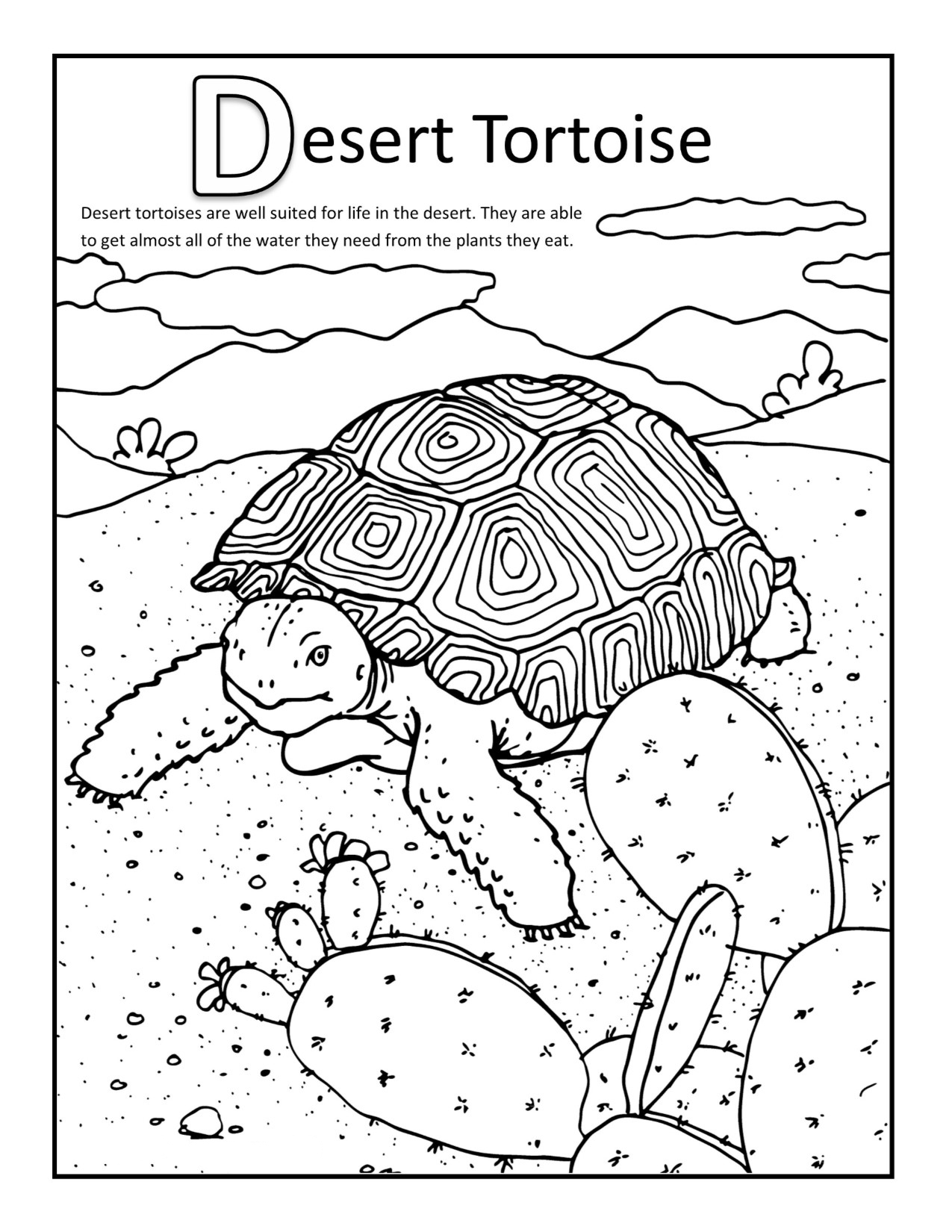 Desert Coloring Pages - Best Coloring Pages For Kids