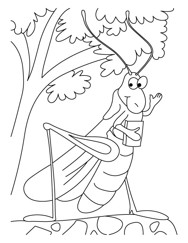 Grasshopper-the schoollover coloring pages | Download Free ...