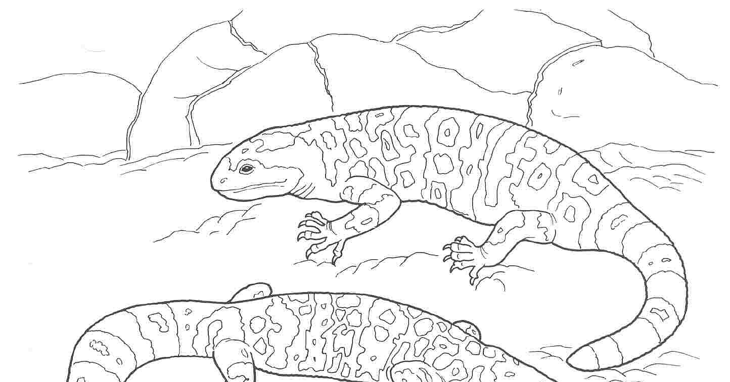 Desert Animals Coloring - Get Coloring Pages