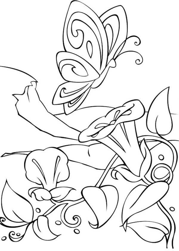 Amazing World of Barbie Fairytopia Coloring Pages | Best Place to ...