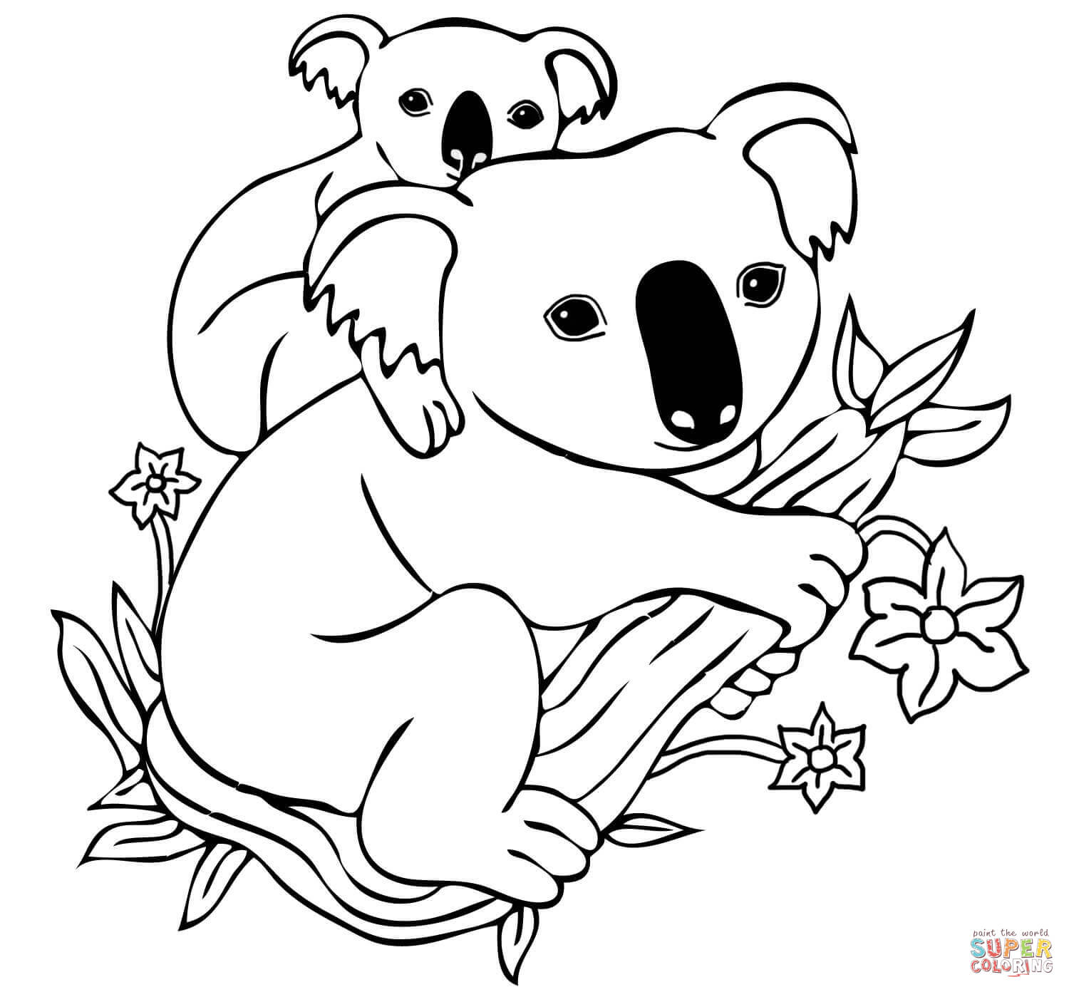 Koala Bears Coloring Pages - Coloring Home