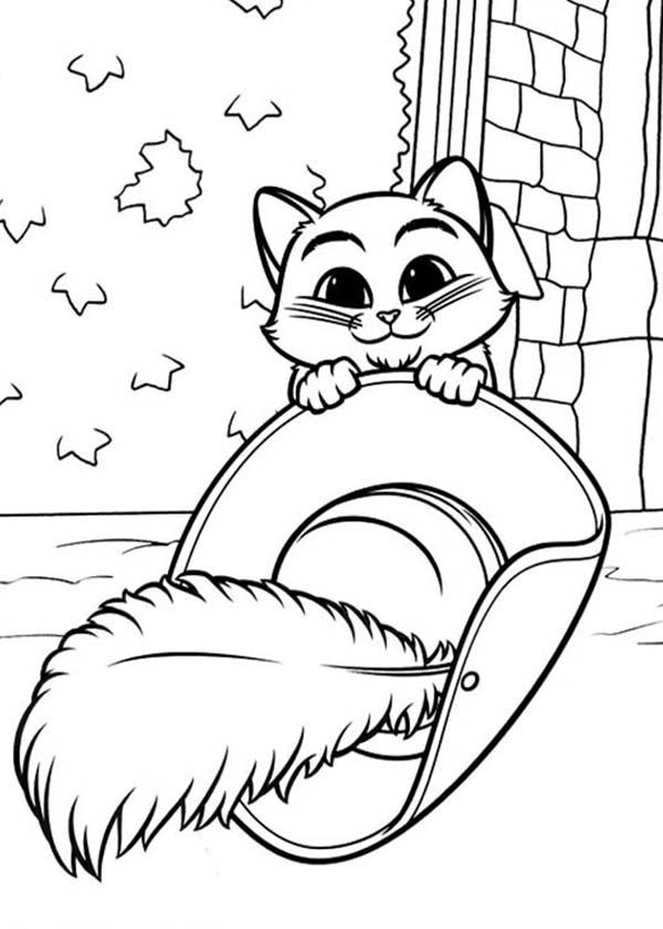 Cute Little Puss in Boots Eyes Coloring Pages | Batch Coloring