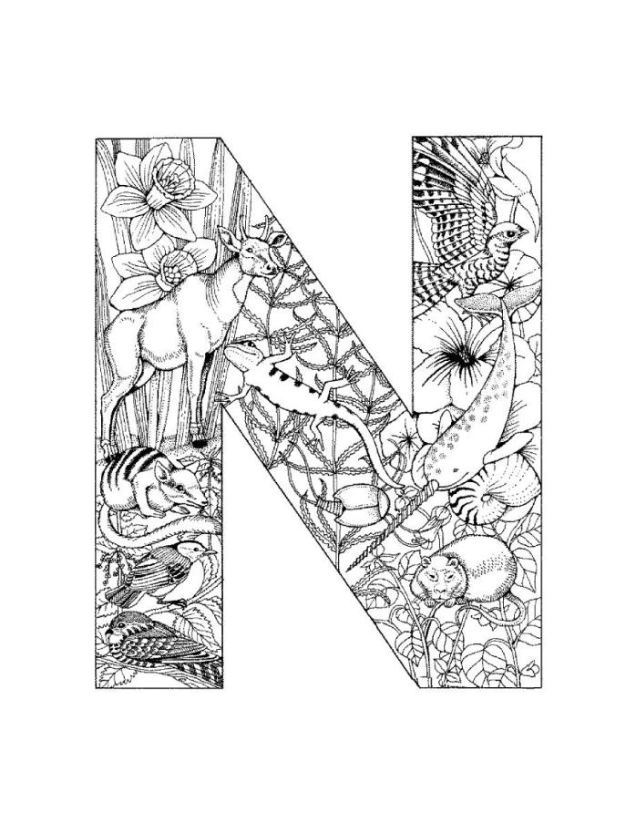 9 Pics of Coloring Pages Letter N Nest - Letter N Nest Coloring ...
