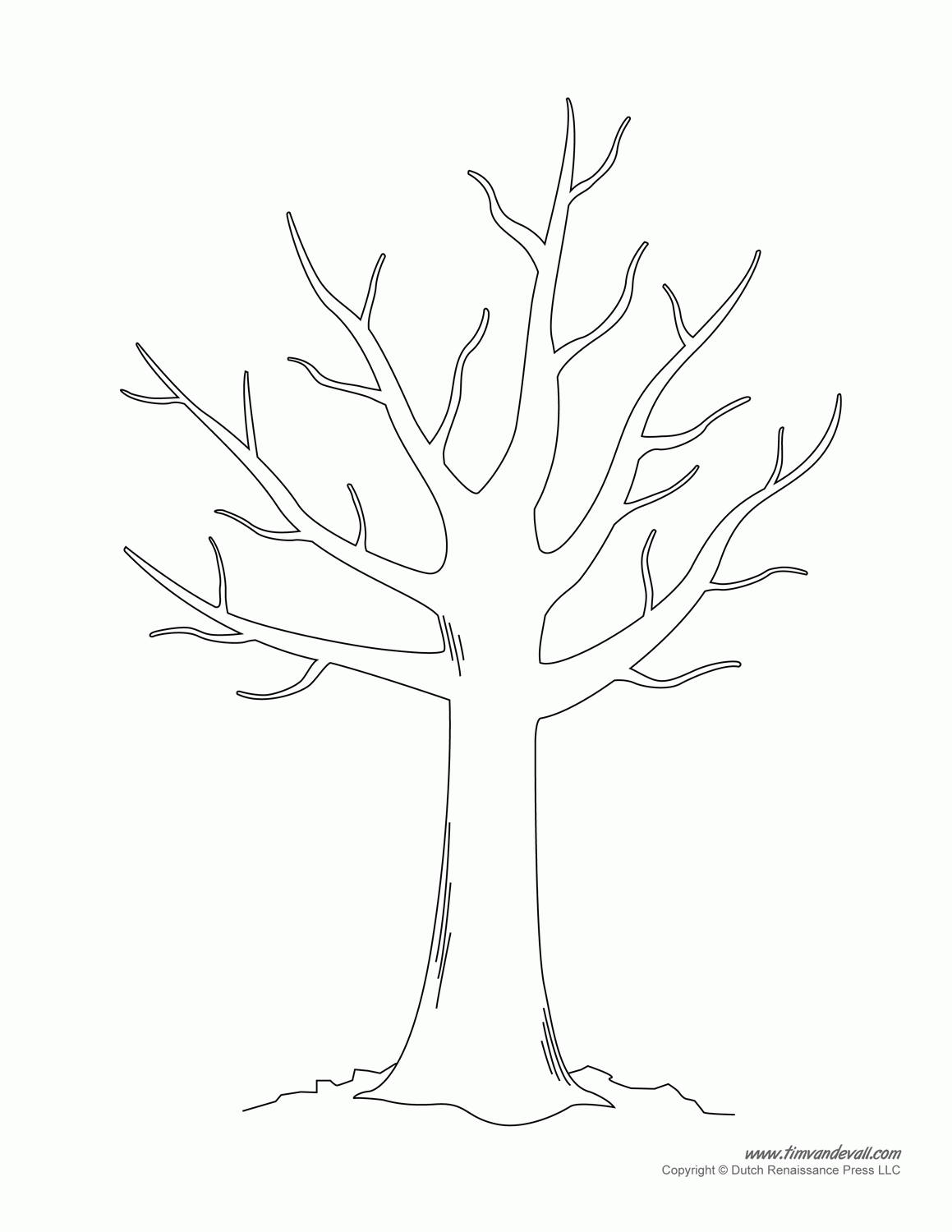 Fall Tree Template No Leaves
