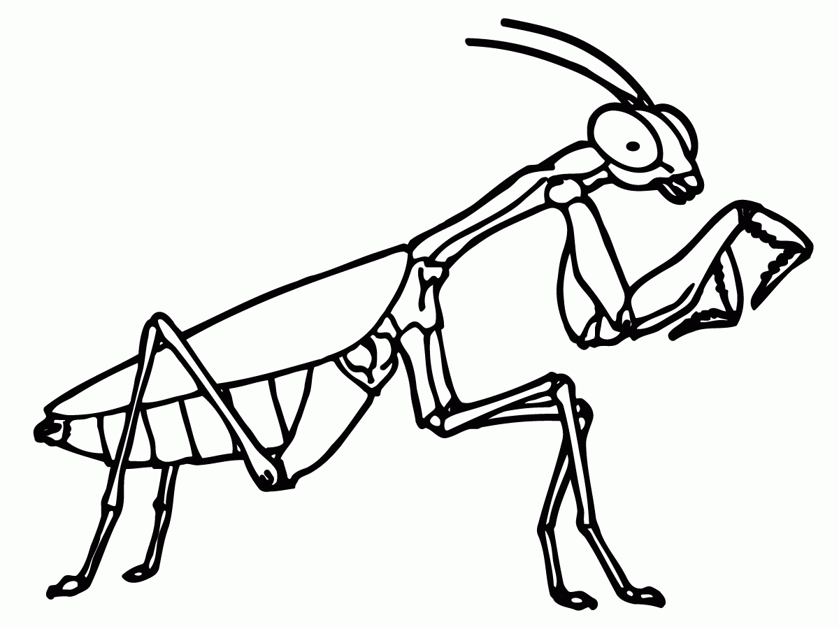 Insects For Kids Coloring Pages - Coloring Home