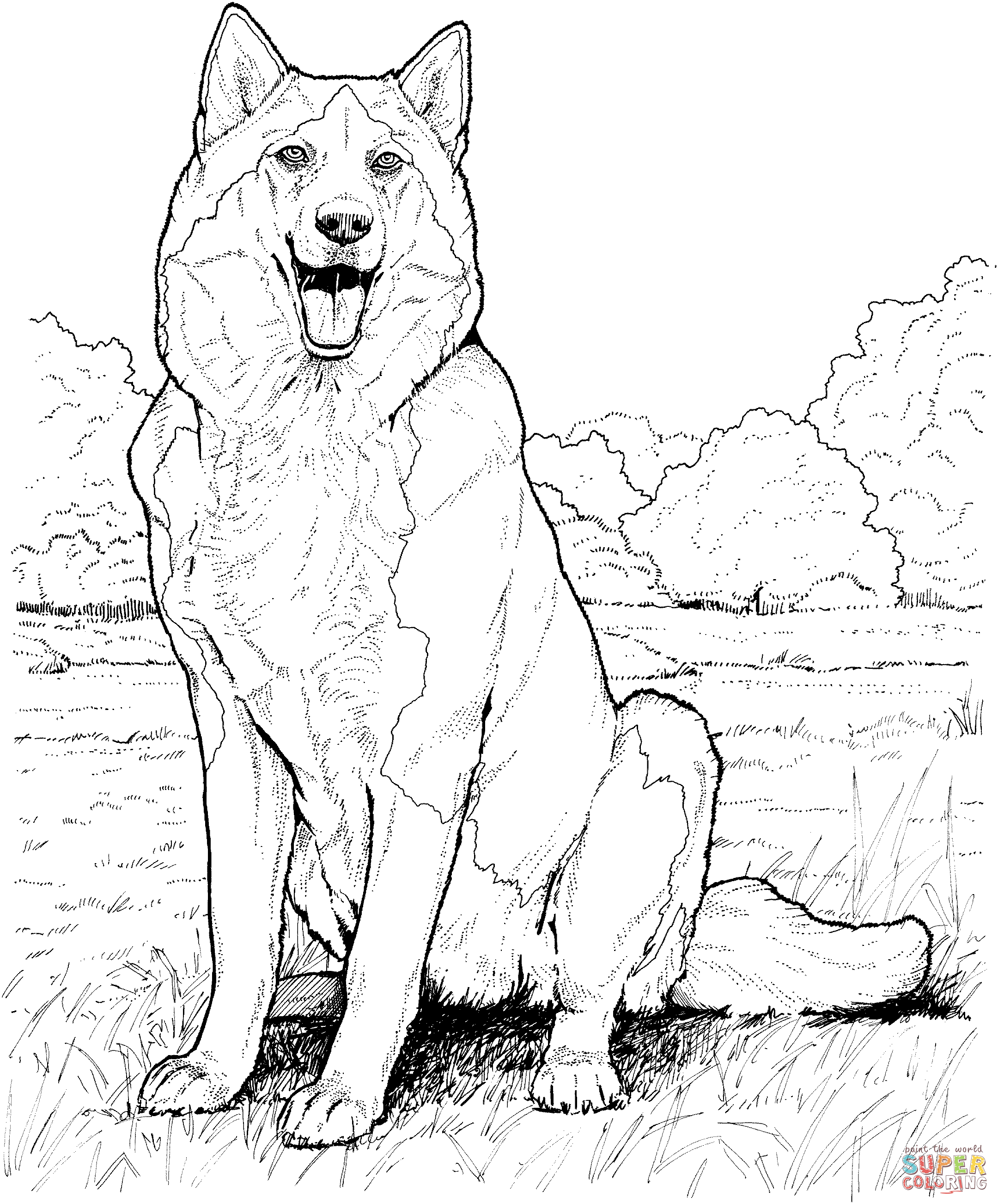 siberian-husky-coloring-pages-coloring-home