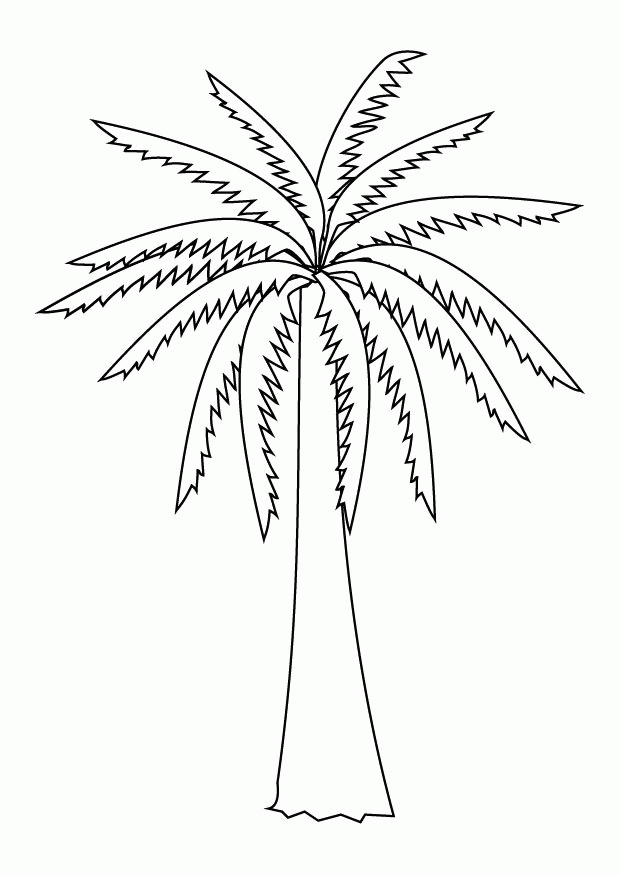 Palm Trees Coloring Pictures - Coloring Pages for Kids and for Adults