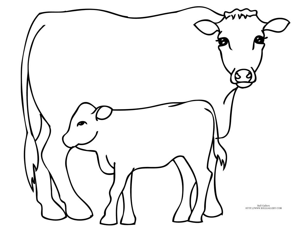 Rodeo Bull Drawings Related Keywords & Suggestions - Rodeo Bull ...