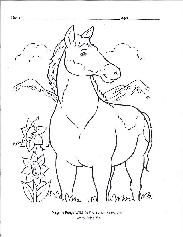 western horses Colouring Pages (page 2)