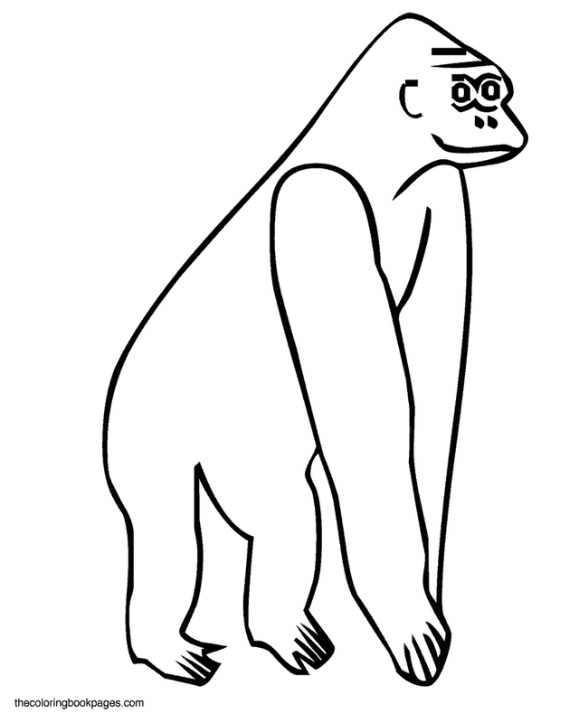 simple gorilla monkey and coloring book pages