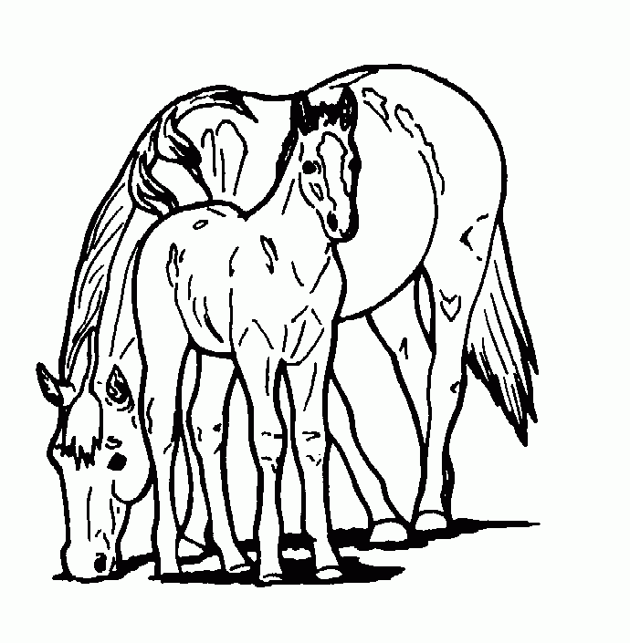 Printable Free Printable Horse Coloring Pages For Kids, Tier Horse ...