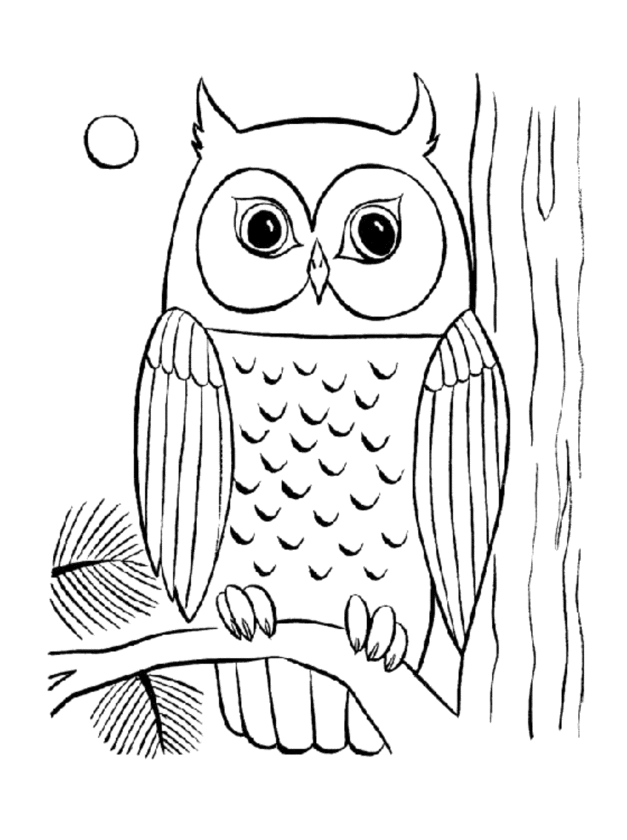 Cool Owl Coloring Pages - Coloring Home