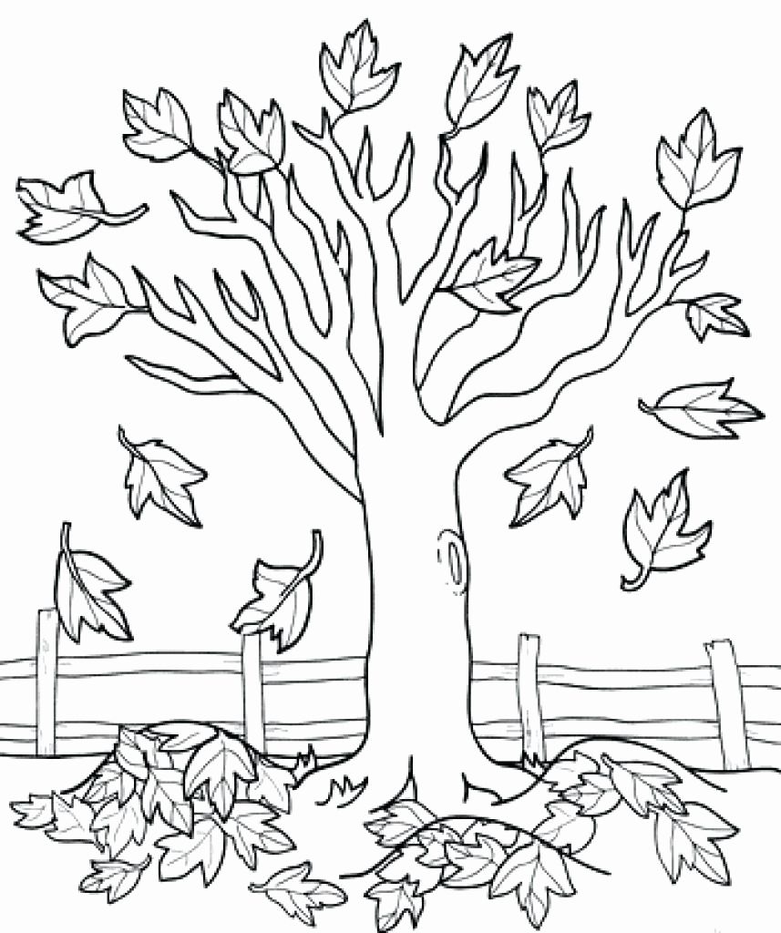 Military Branch Coloring Pages Unique Coloring Page Of A Palm Leaf ...