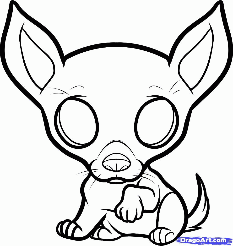 Drawing Chihuahua Coloring Pages Draw Puppy Dogs