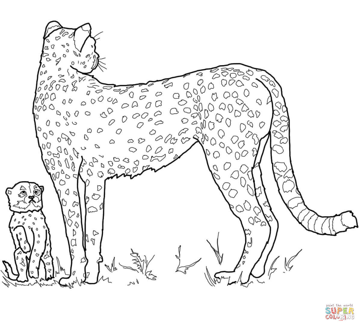 Cheetah Printable Coloring Pages - Coloring Home
