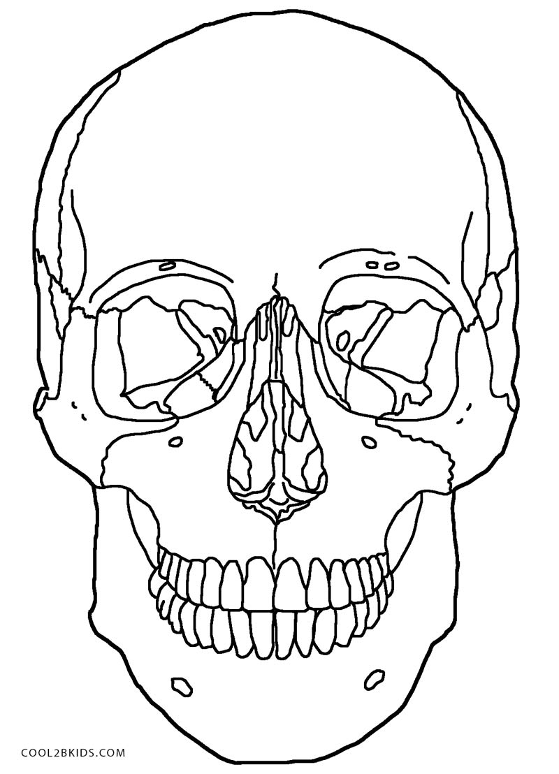 Anatomy And Physiology Coloring Pages Free - Coloring Home