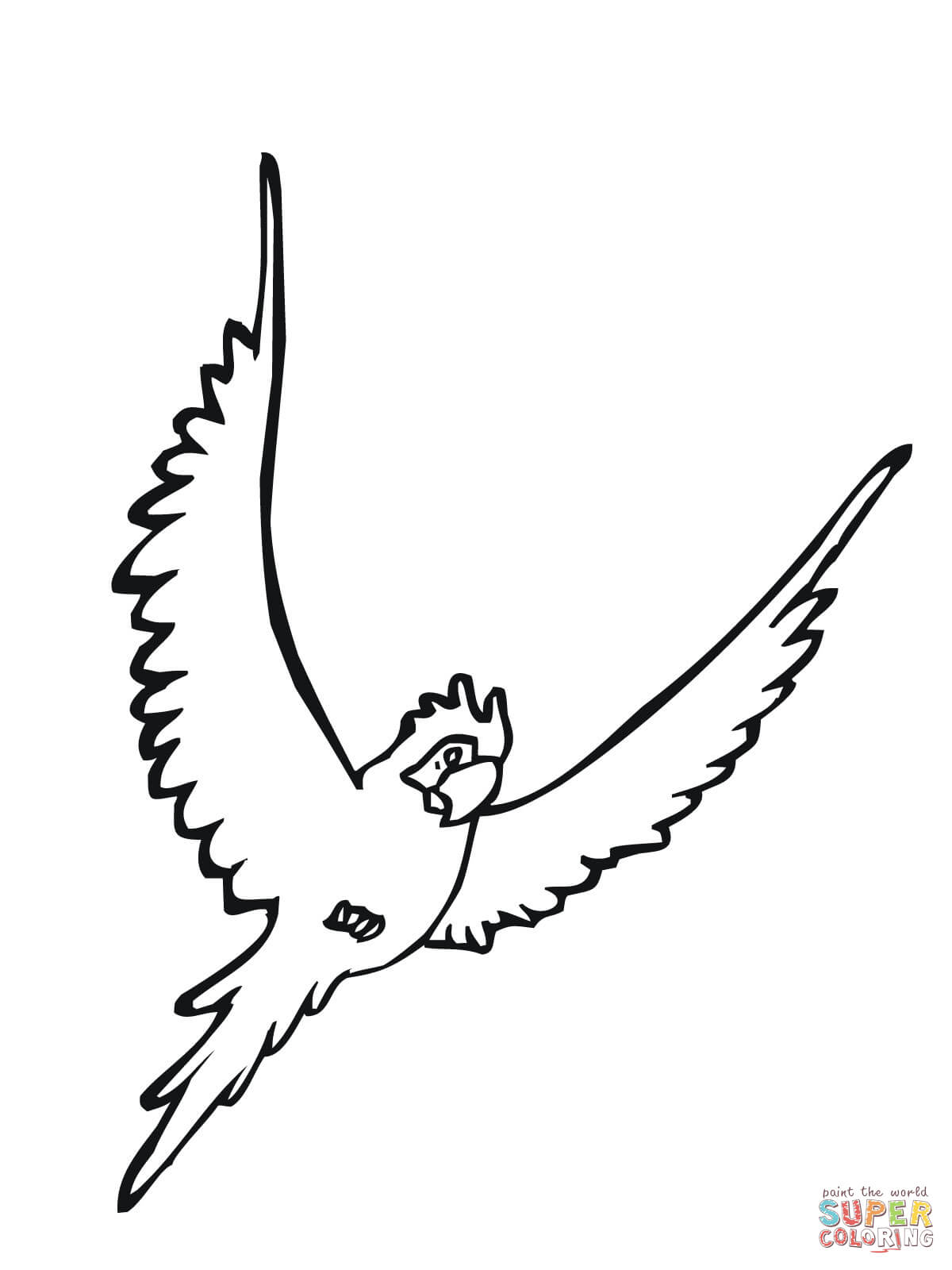 Parakeet Bird coloring page | Free Printable Coloring Pages