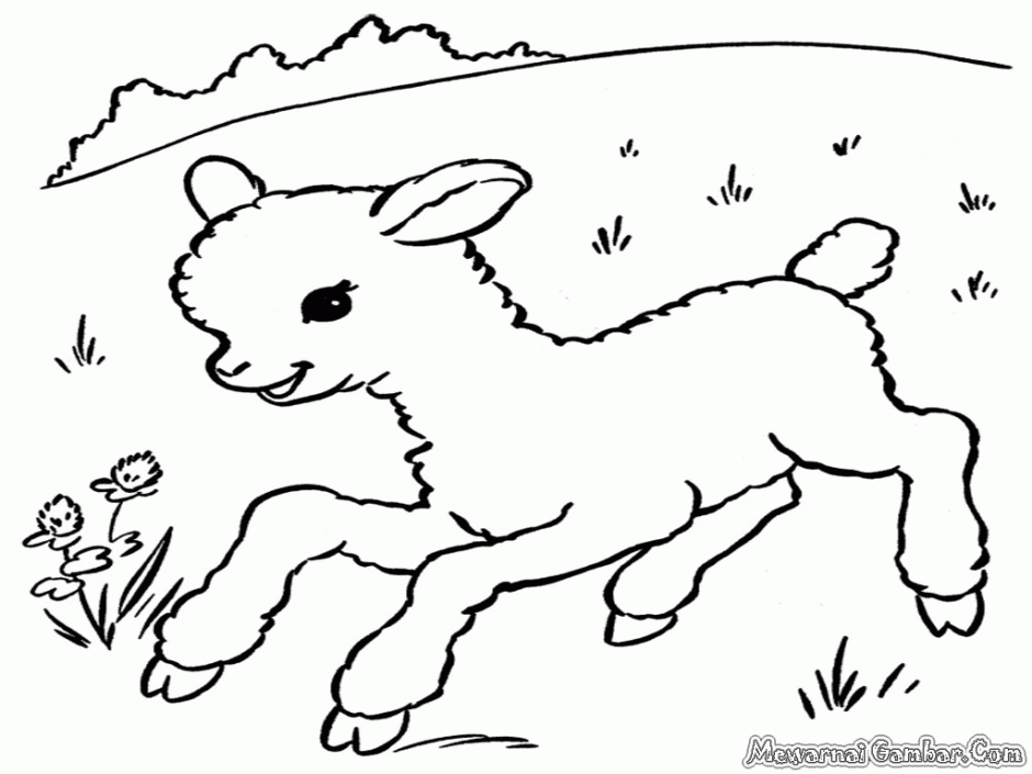 Girly Coloring Pages 295197 Taylor Lautner Coloring Pages