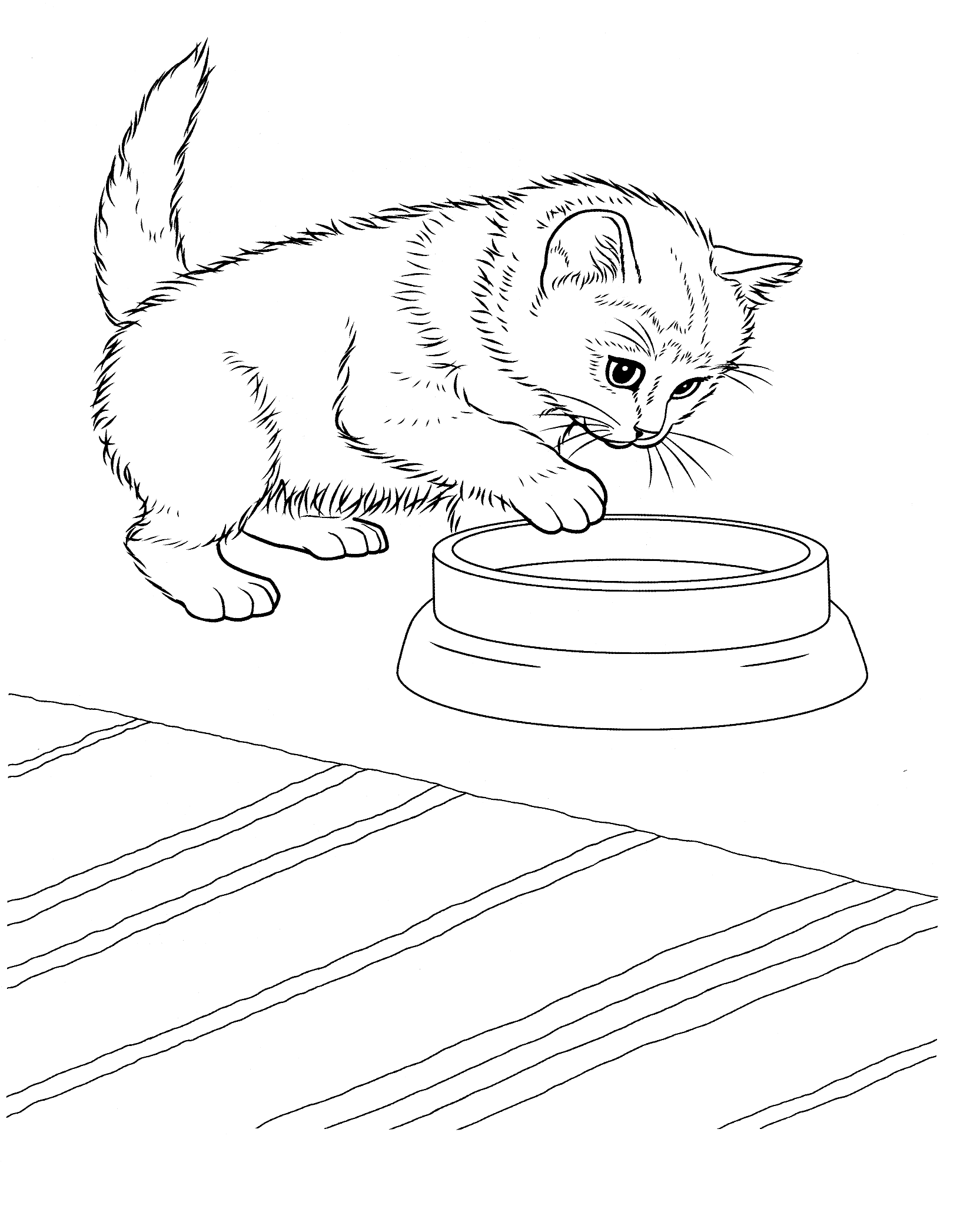 Free Coloring Pages Of Cats And Kitten - Gianfreda.net
