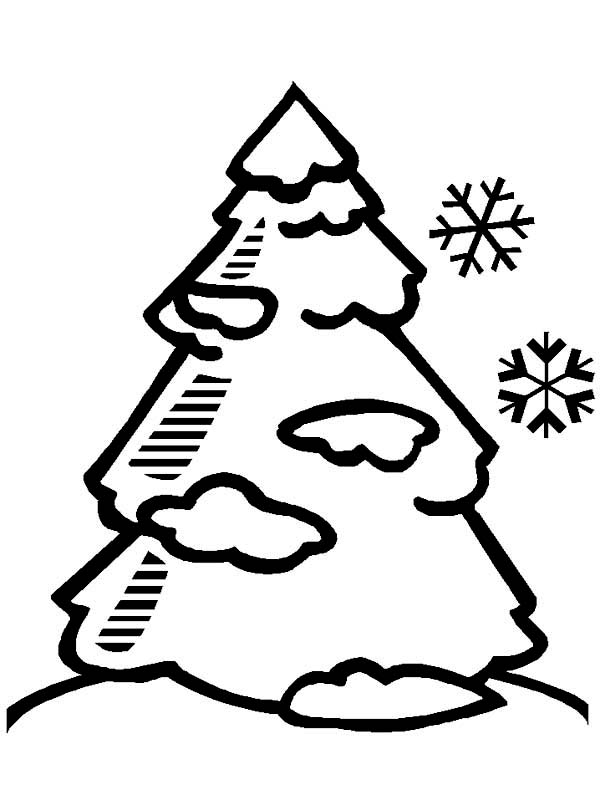 Pine Tree Covered with Winter Season Snow Coloring Page: Pine Tree ...