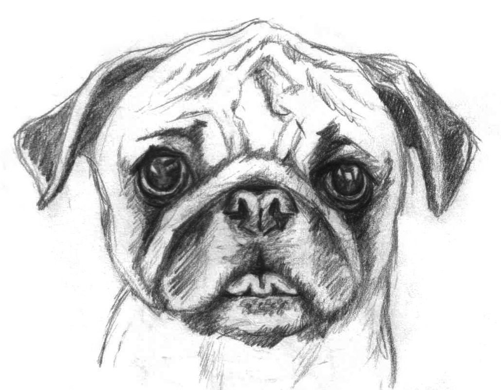 printable-pug-coloring-pages-coloring-home