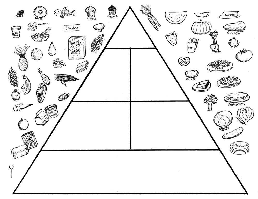 Food Web Coloring Pages - Coloring Home