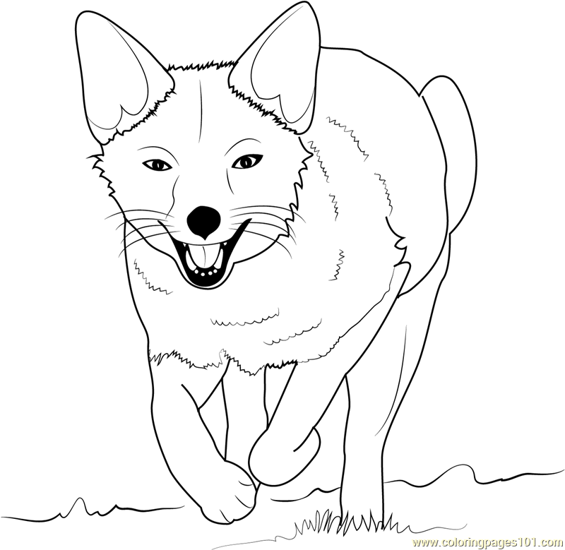Fox Coloring Pages - Printable Coloring Pages of Foxes