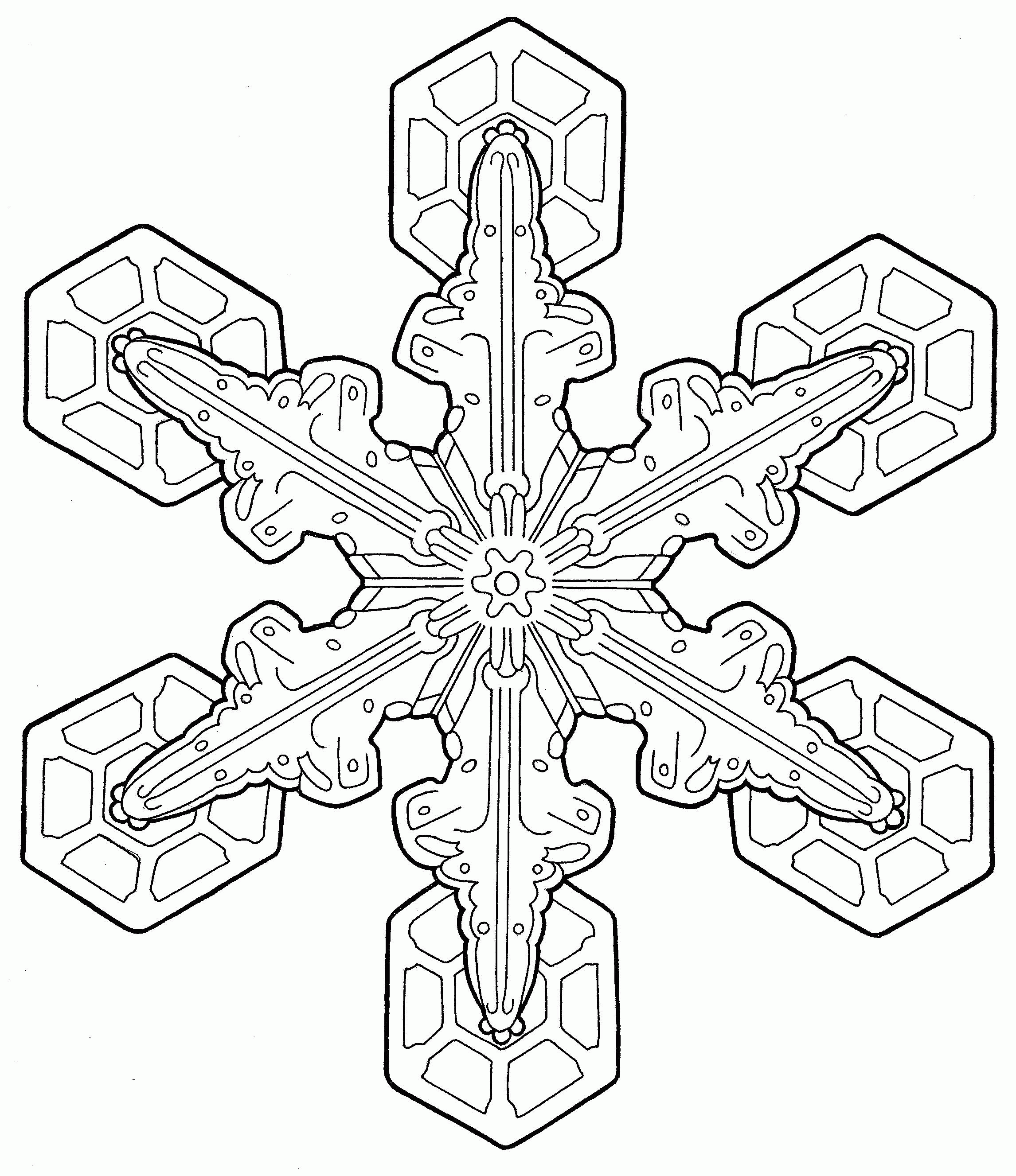 Adult Coloring Pages To Print - Coloring Home