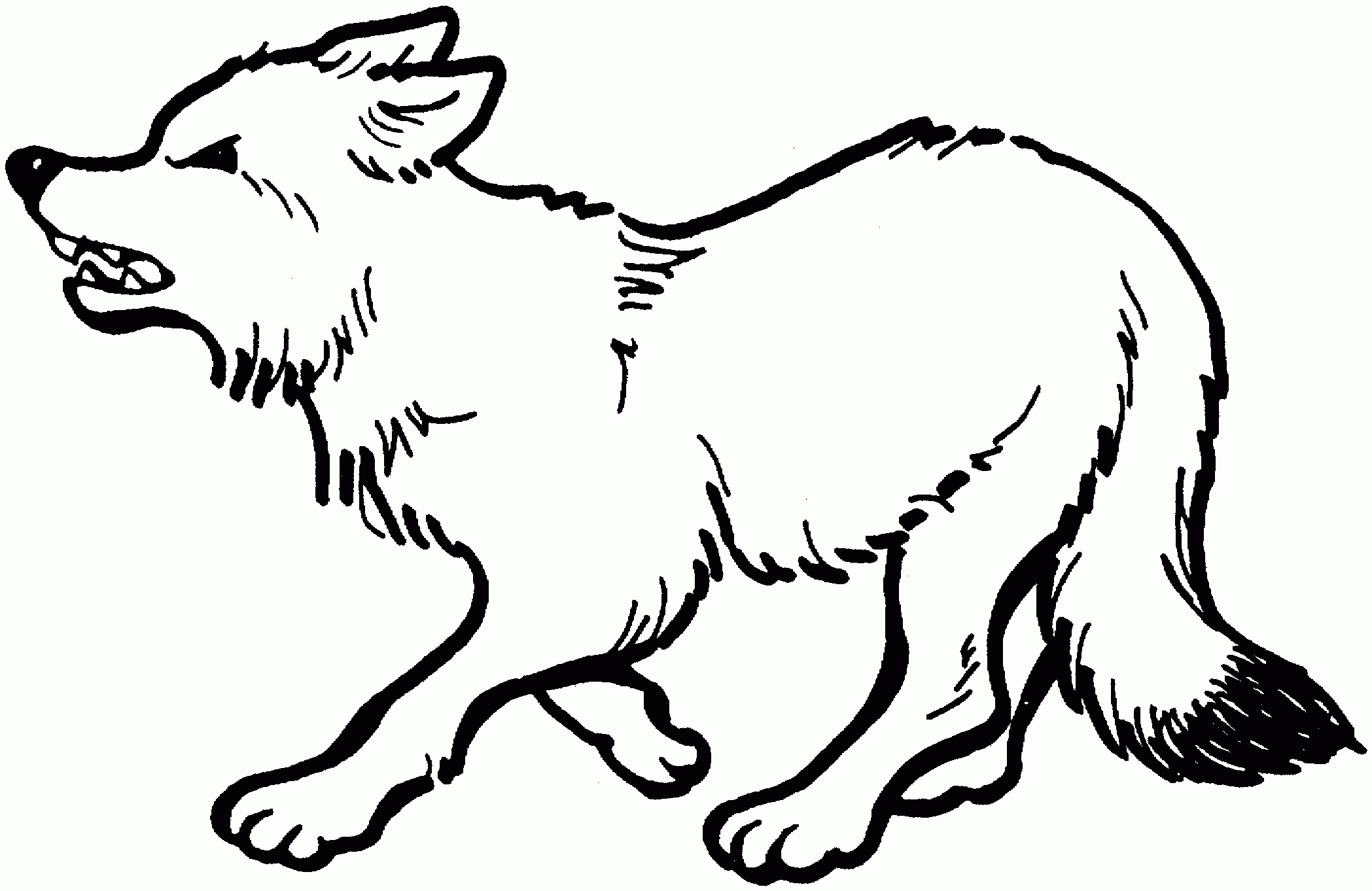 186 Cartoon Wolf Pictures Coloring Pages for Kindergarten