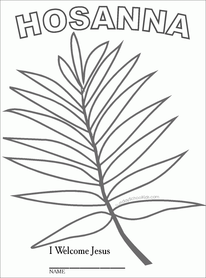 palm-branch-coloring-page-coloring-home