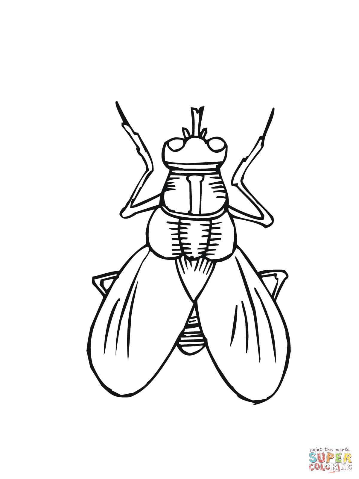 Fly Guy Coloring Pages Printables Coloring Pages