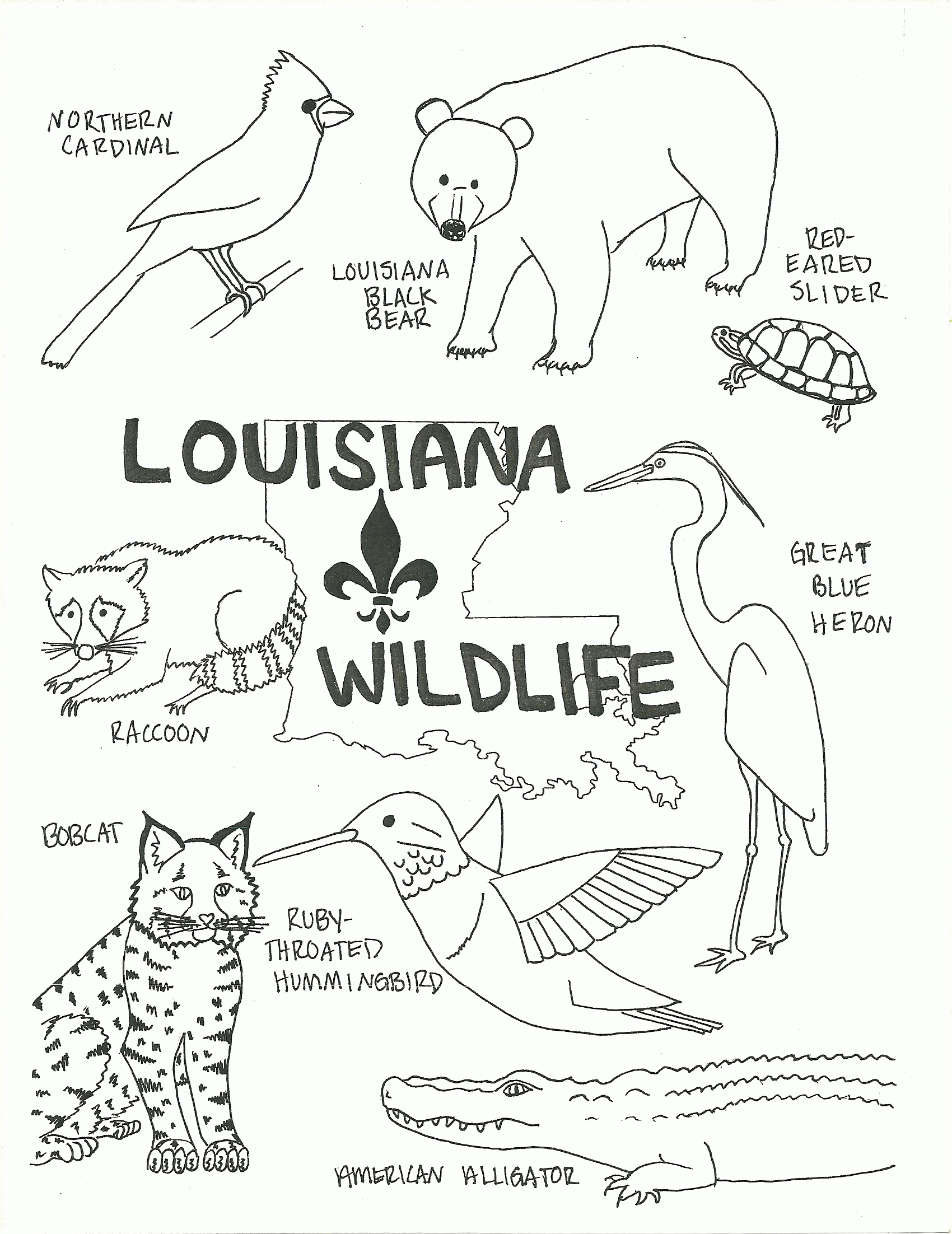 louisiana-state-flag-coloring-page-coloring-home