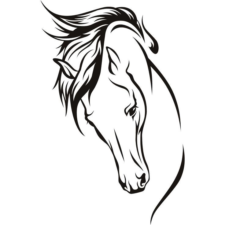 Horse Face Coloring Page - Coloring Home