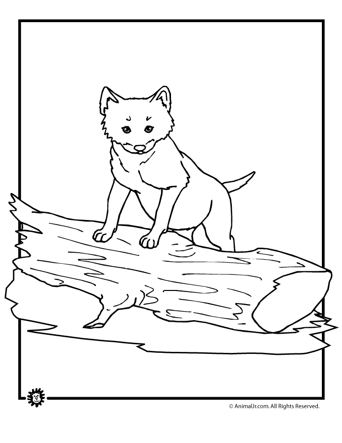 Baby Wolves Coloring Pages - High Quality Coloring Pages