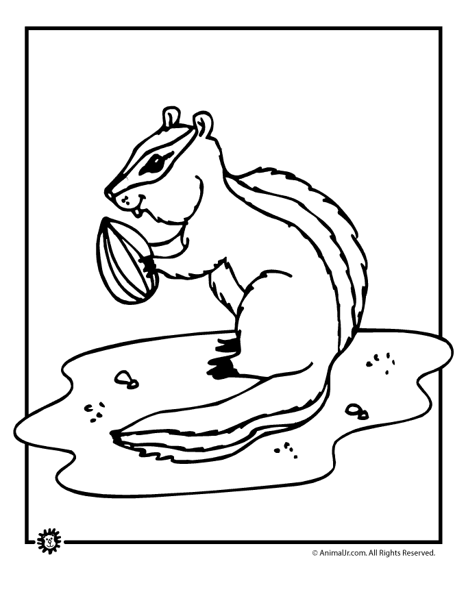 Chipmunk Coloring Page - Coloring Pages for Kids and for Adults