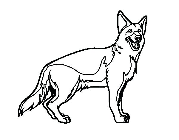 The best free German shepherd drawing images. Download from ...