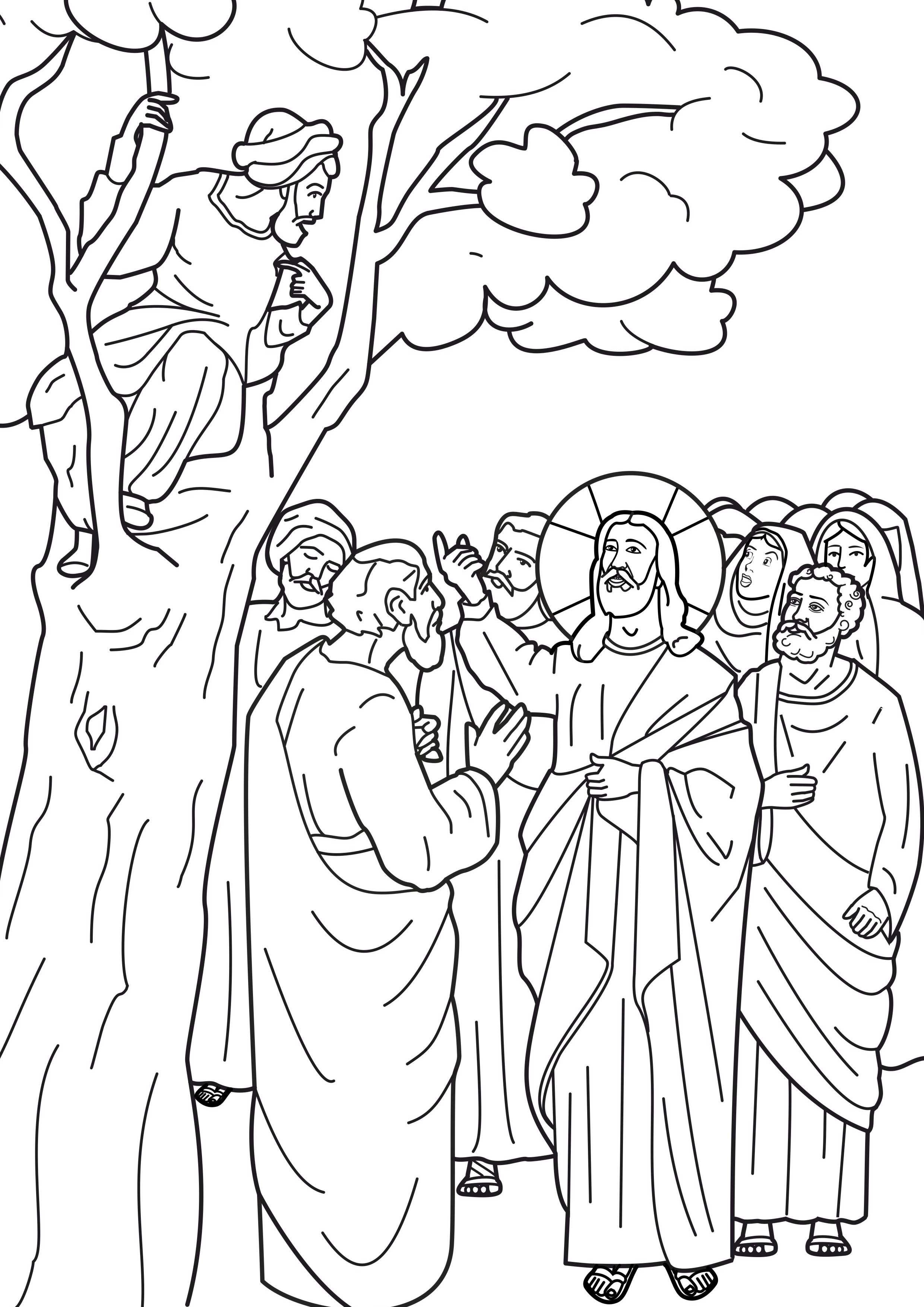 Jesus Zacchaeus Coloring Pages Tree