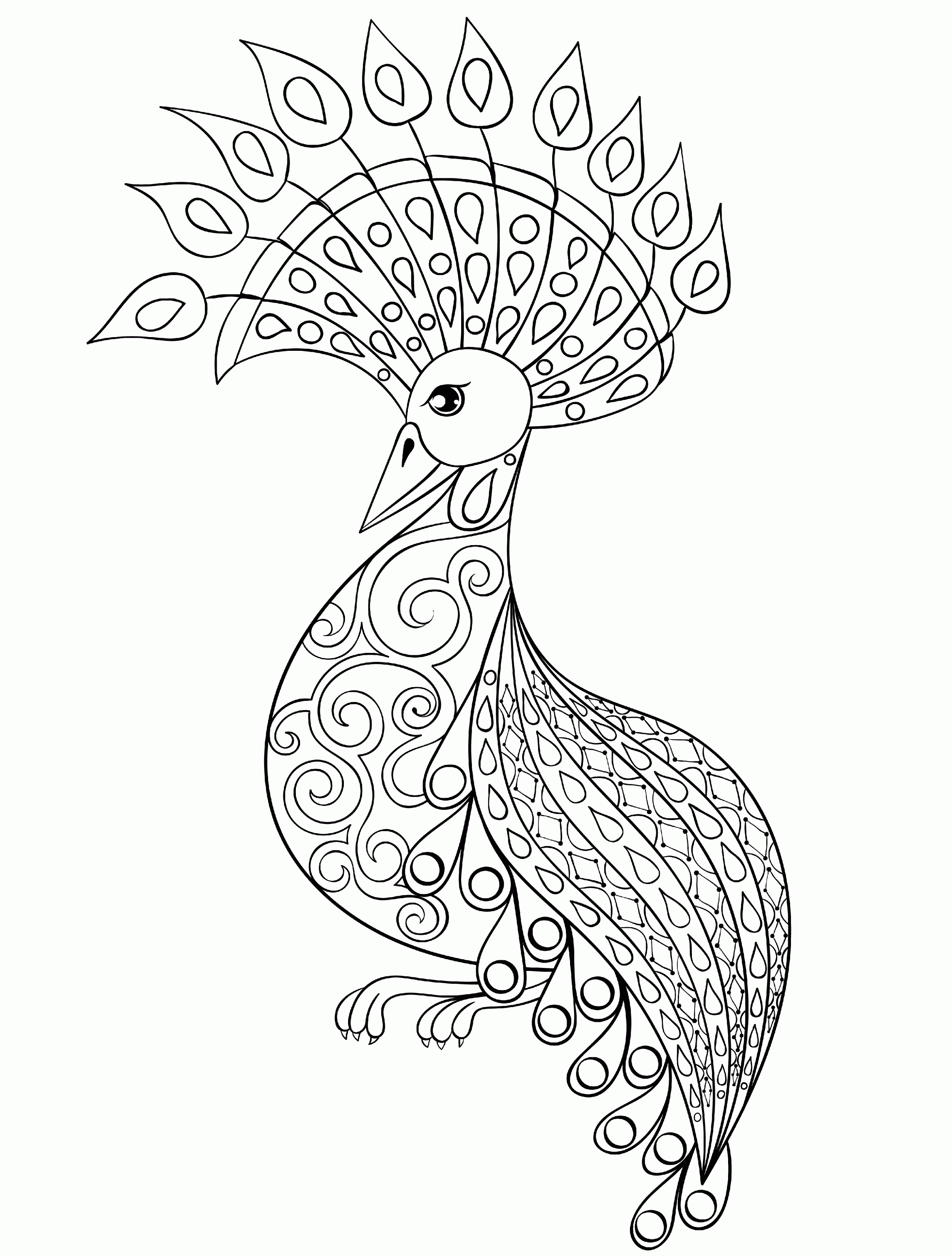 cool-coloring-pages-for-adults-peacock-coloring-home