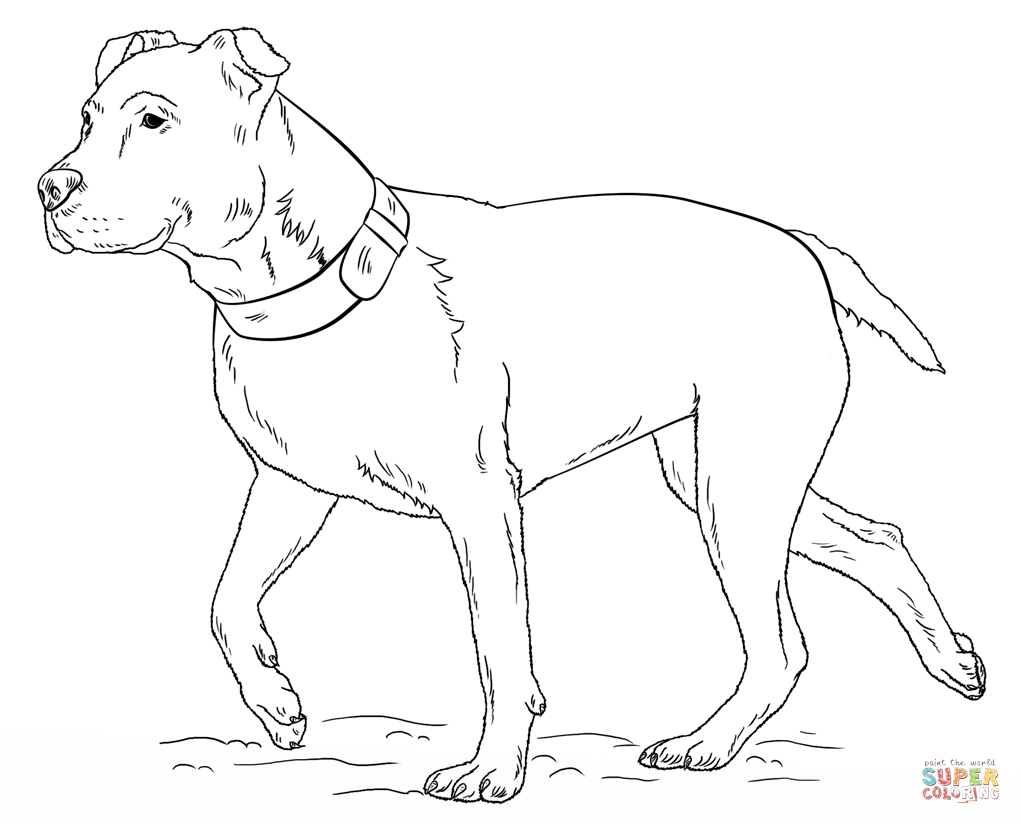 coloring pages of pit bulls - High Quality Coloring Pages