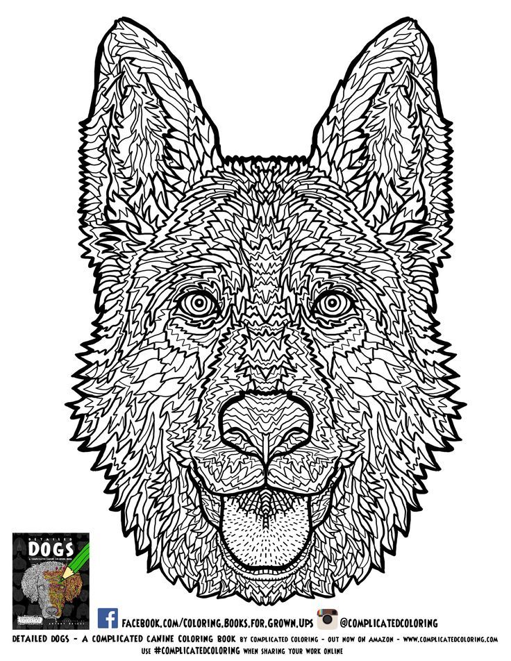 Coloring | Free Adult Coloring Pages, Adult Coloring ...