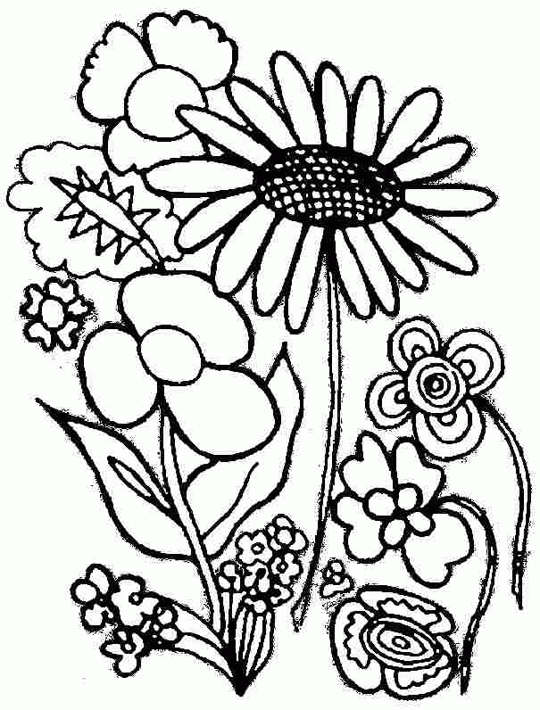 Free Pictures Of Flowers To Print - Coloring Home